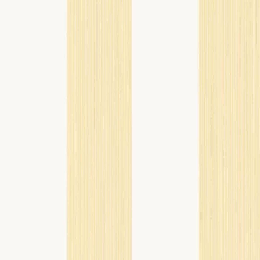 Farrow & Ball Broad Stripe Wallpaper 1319